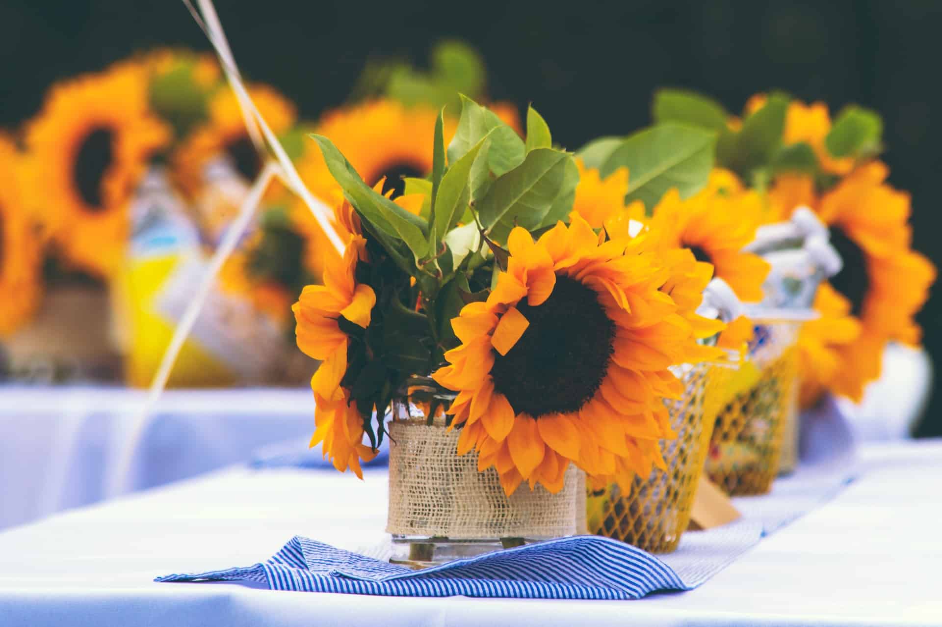 DIY Wedding Decorations: Create a Stunning Celebration on a Budget